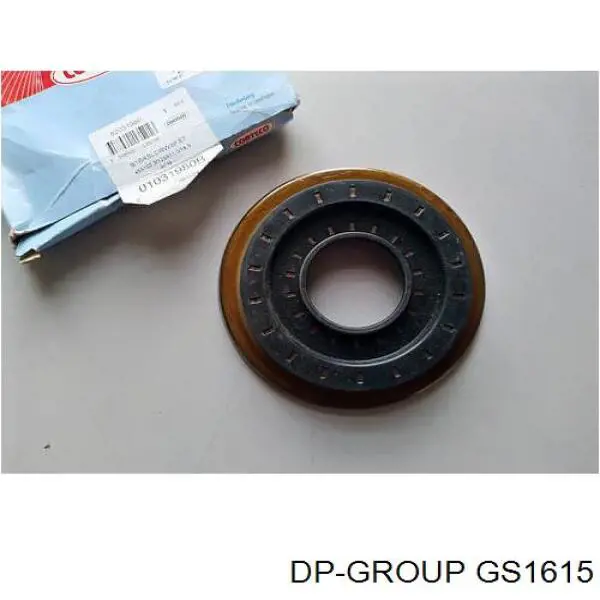 Retén del piñón del diferencial trasero GS1615 DP Group