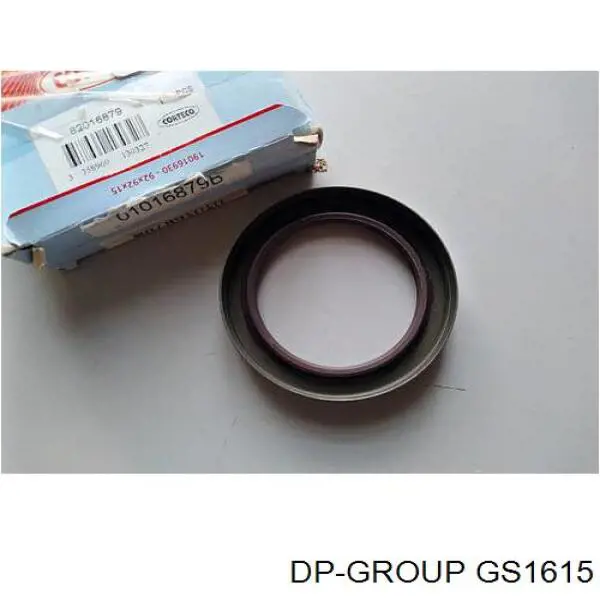 Retén del piñón del diferencial trasero DP Group GS1615 precio, desde 10,93 EUR