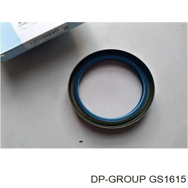 Retén del piñón del diferencial trasero GS1615 DP Group