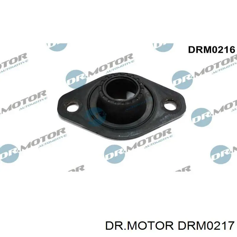 DRM0217 Dr.motor junta anular, cavidad bujía