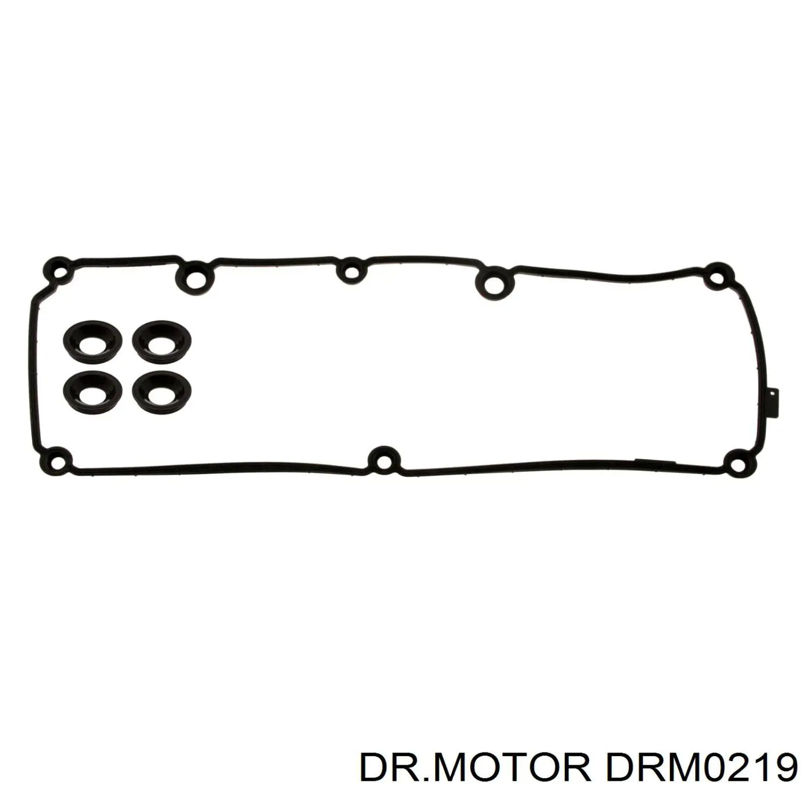DRM0219 Dr.motor junta anular, cavidad bujía