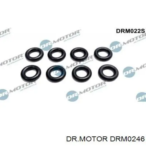 DRM0246 Dr.motor kit de reparación, inyector