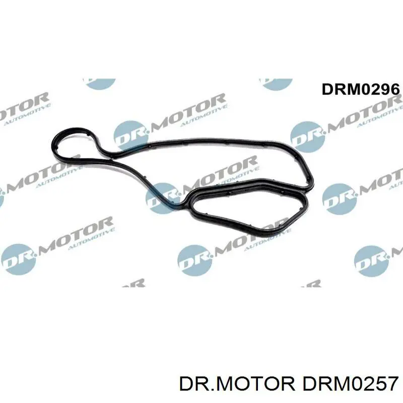 DRM0257 Dr.motor radiador de aceite, bajo de filtro