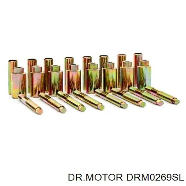 DRM0269SL Dr.motor