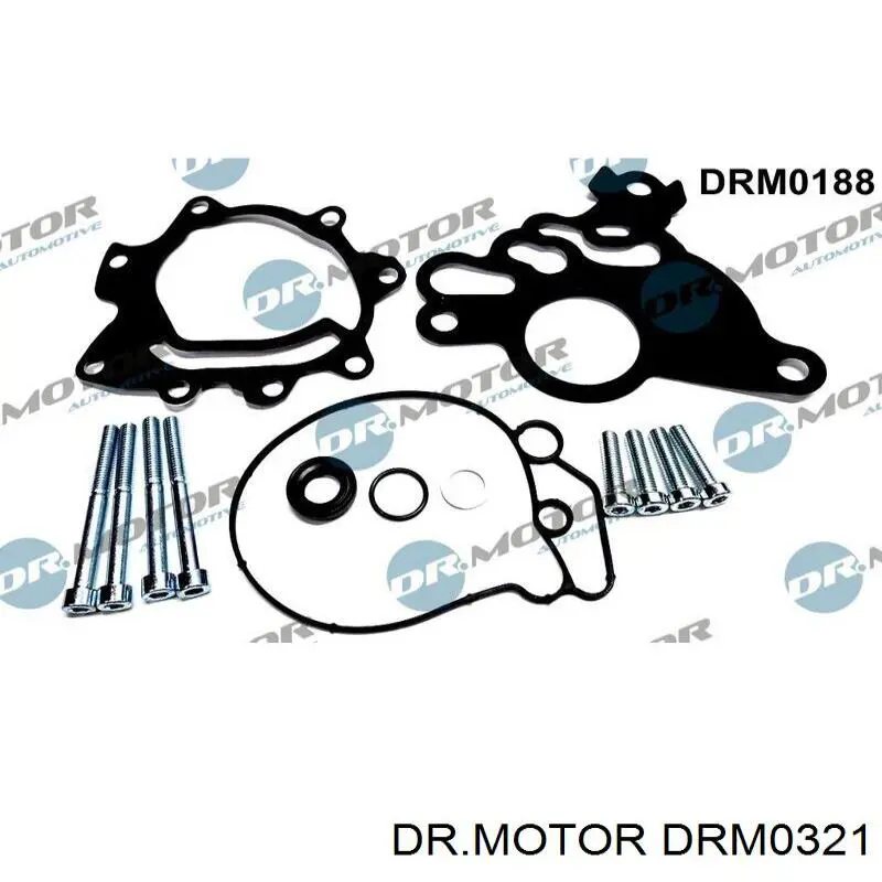 DRM0321 Dr.motor juego de reparación, bomba de vacío