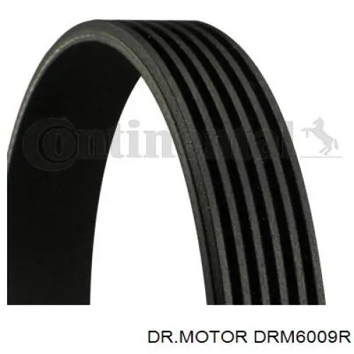 DRM6009R Dr.motor tubo de combustible atras de las boquillas