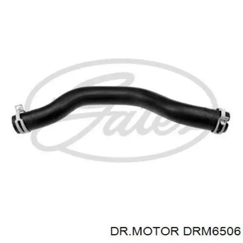 Manguito de líquido refrigerante Ford 1562831 precio, desde 13,11 EUR