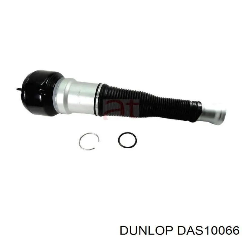DAS10066 Dunlop muelle neumático, suspensión, eje trasero