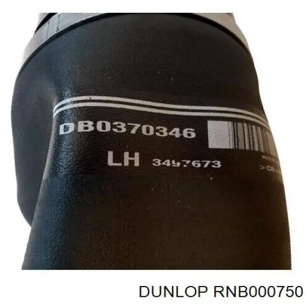 RNB000750 Dunlop amortiguador delantero izquierdo