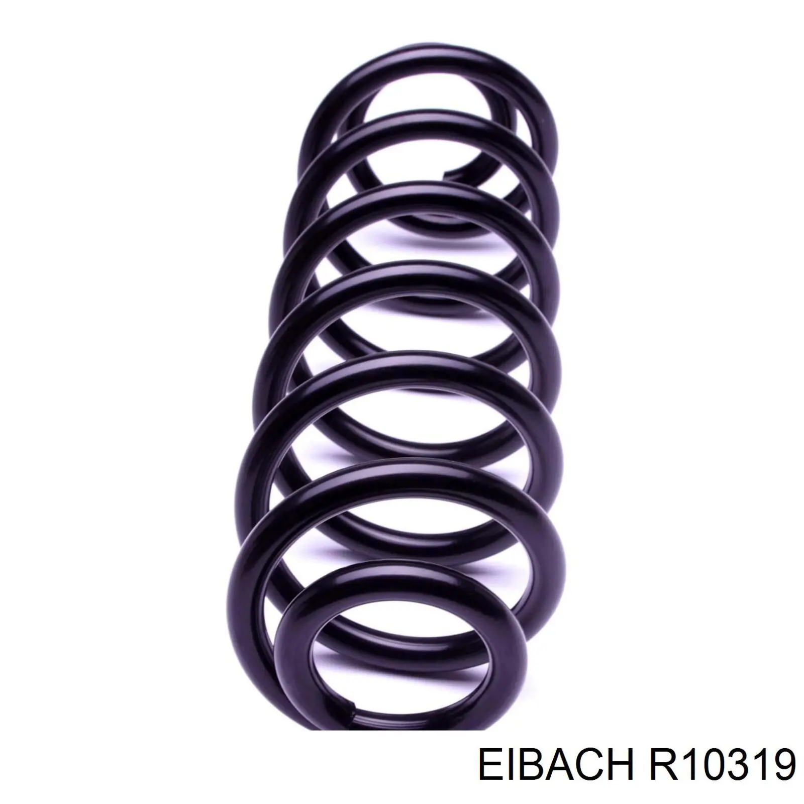 R10319 Eibach Muelle trasero
