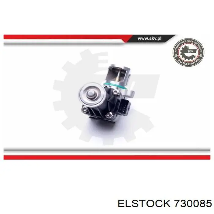 EGR STC T493105