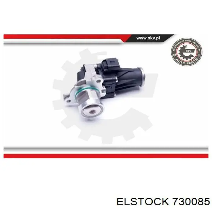 T493105 STC Válvula EGR