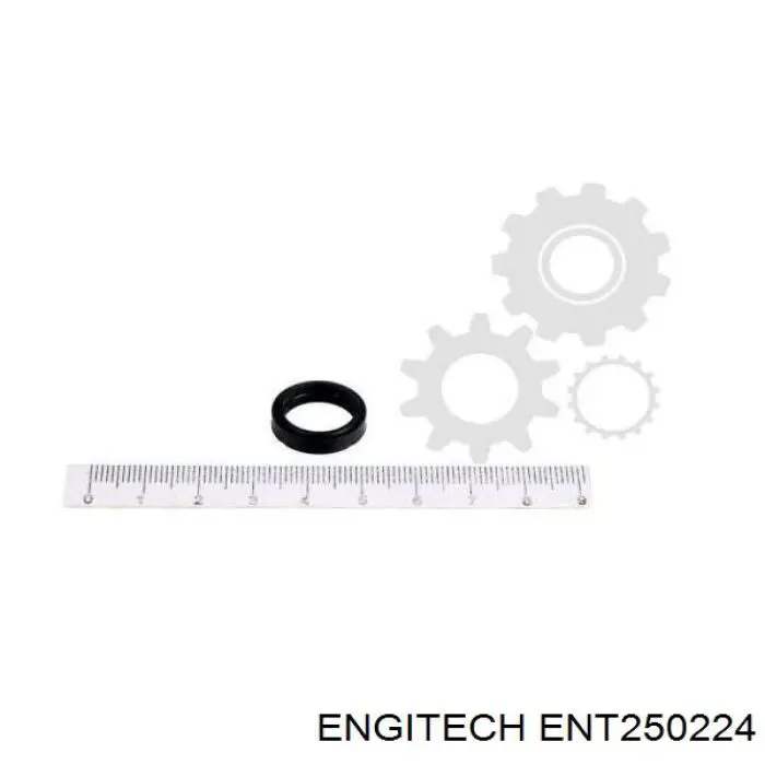 Kit de reparación del inyector ENT250224 Engitech