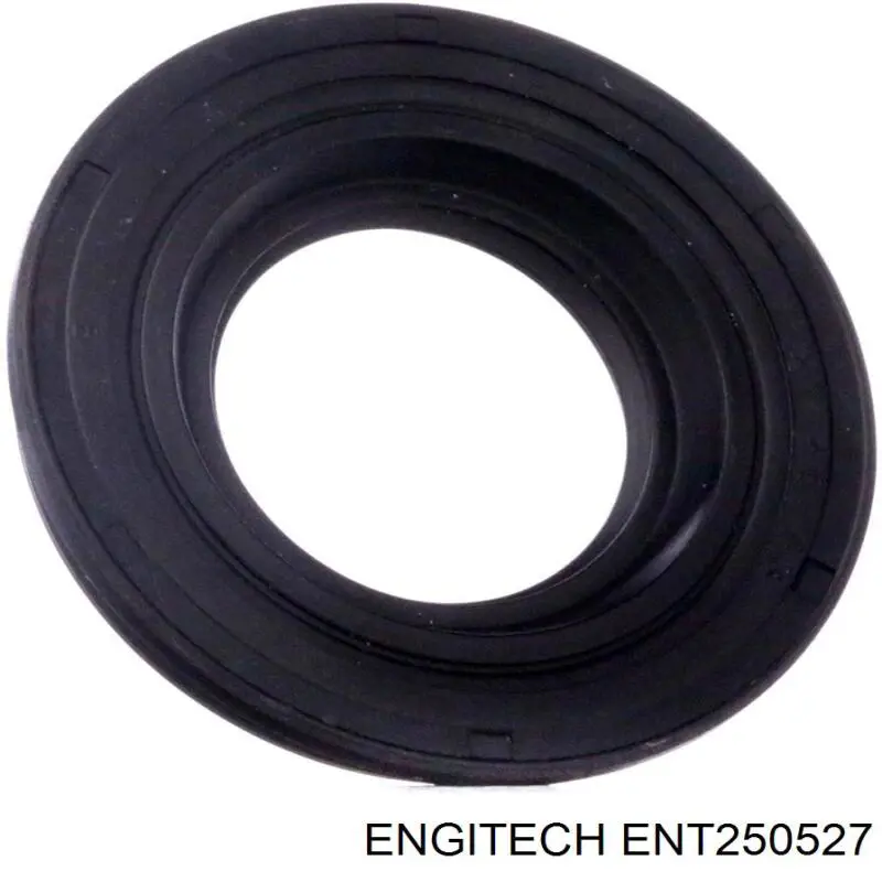 ENT250527 Engitech junta anular, cavidad bujía