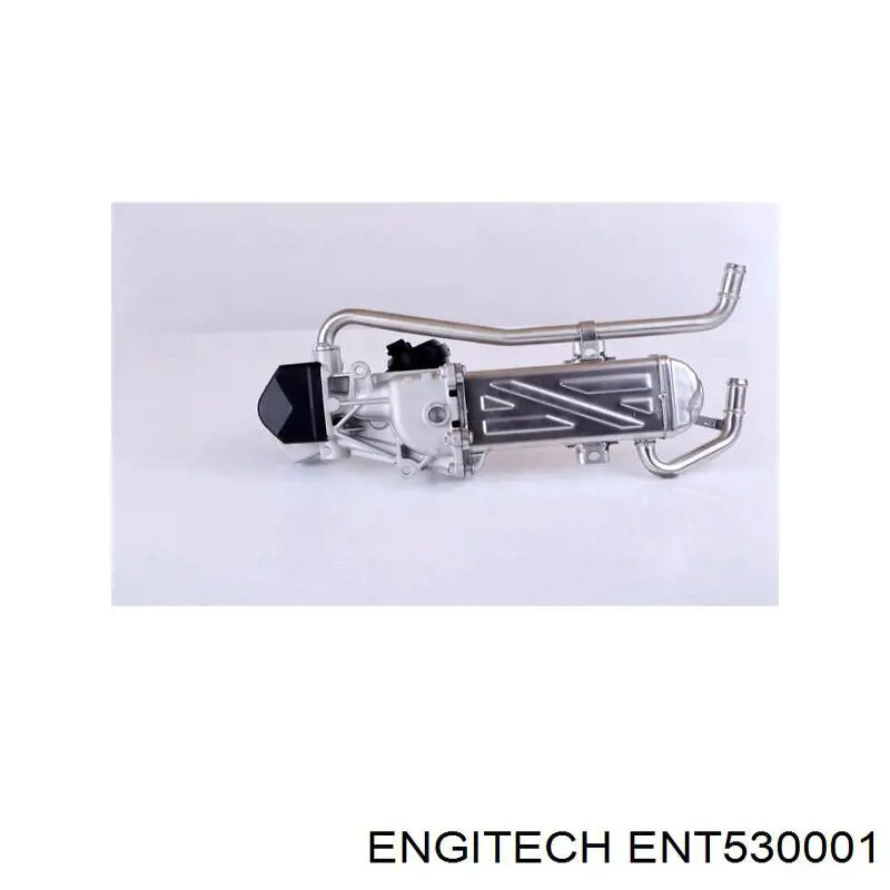 Comprar ENT530001 Engitech Válvula de derivación (perno banjo)