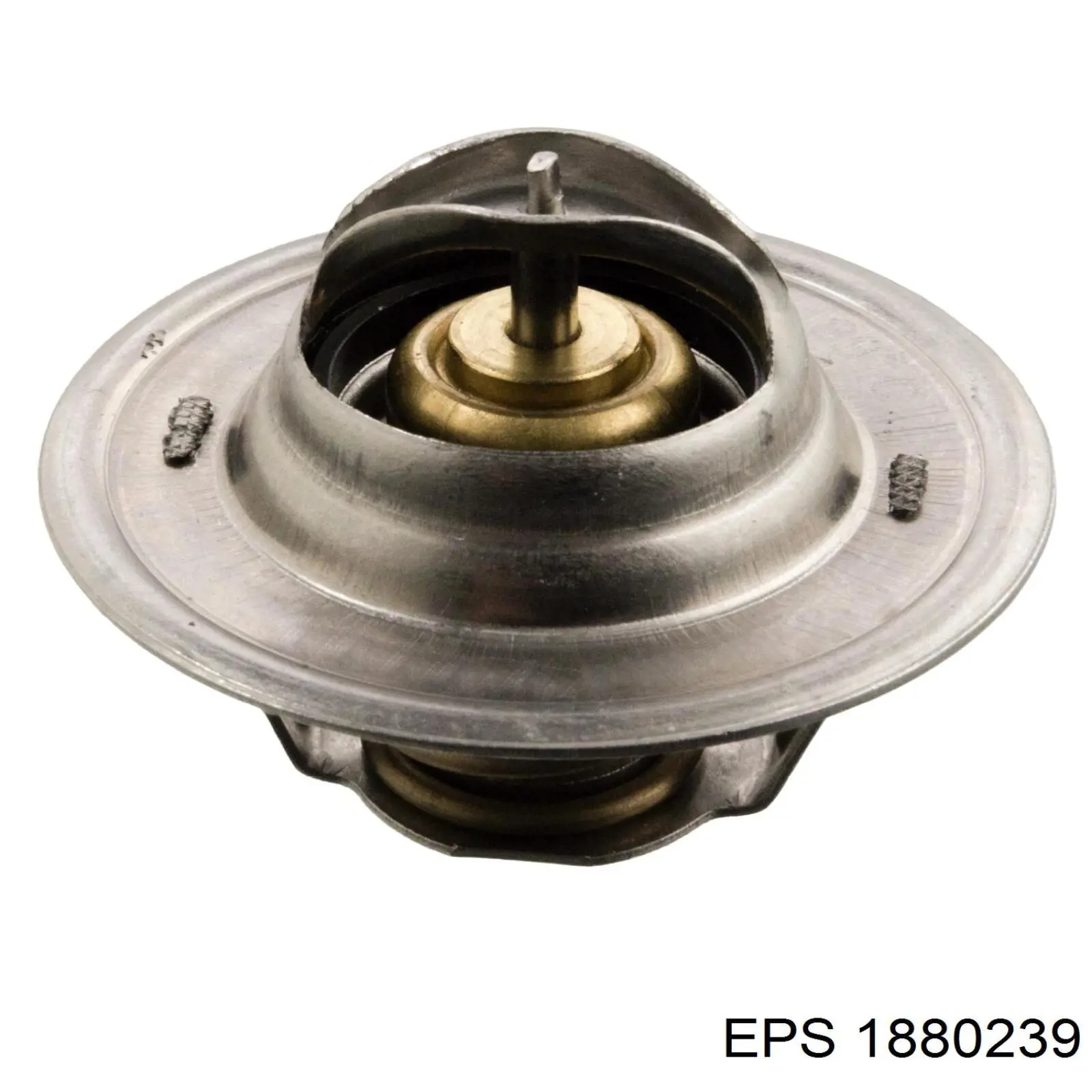 1880239 EPS termostato