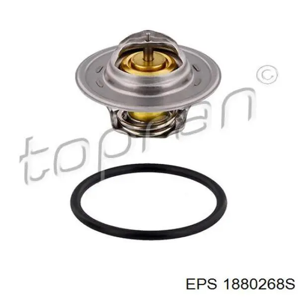 1.880.268S EPS termostato, refrigerante