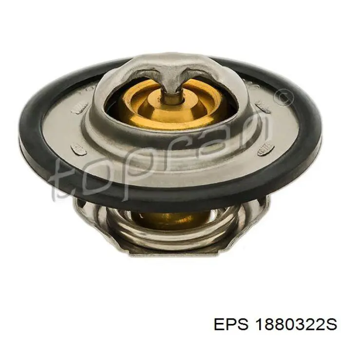Termostato, refrigerante Renault Laguna 2 BG0, BG1