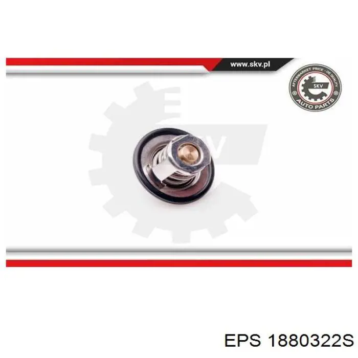 Termostato, refrigerante Renault Laguna 2 BG0, BG1