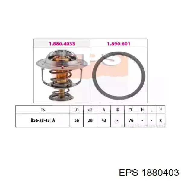 Comprar 135894RC Fitshi Termostato