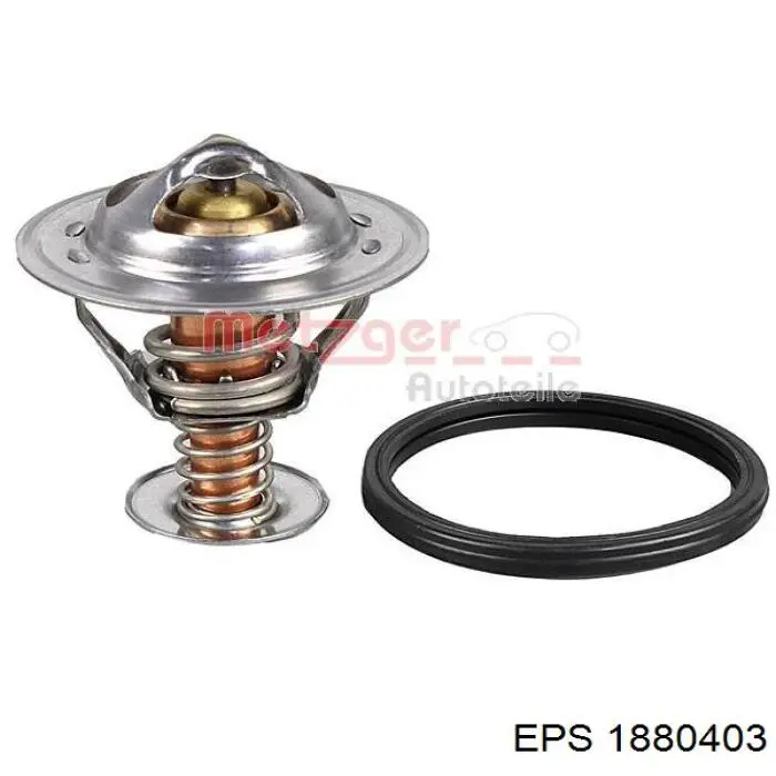 Termostato 135894RC Fitshi