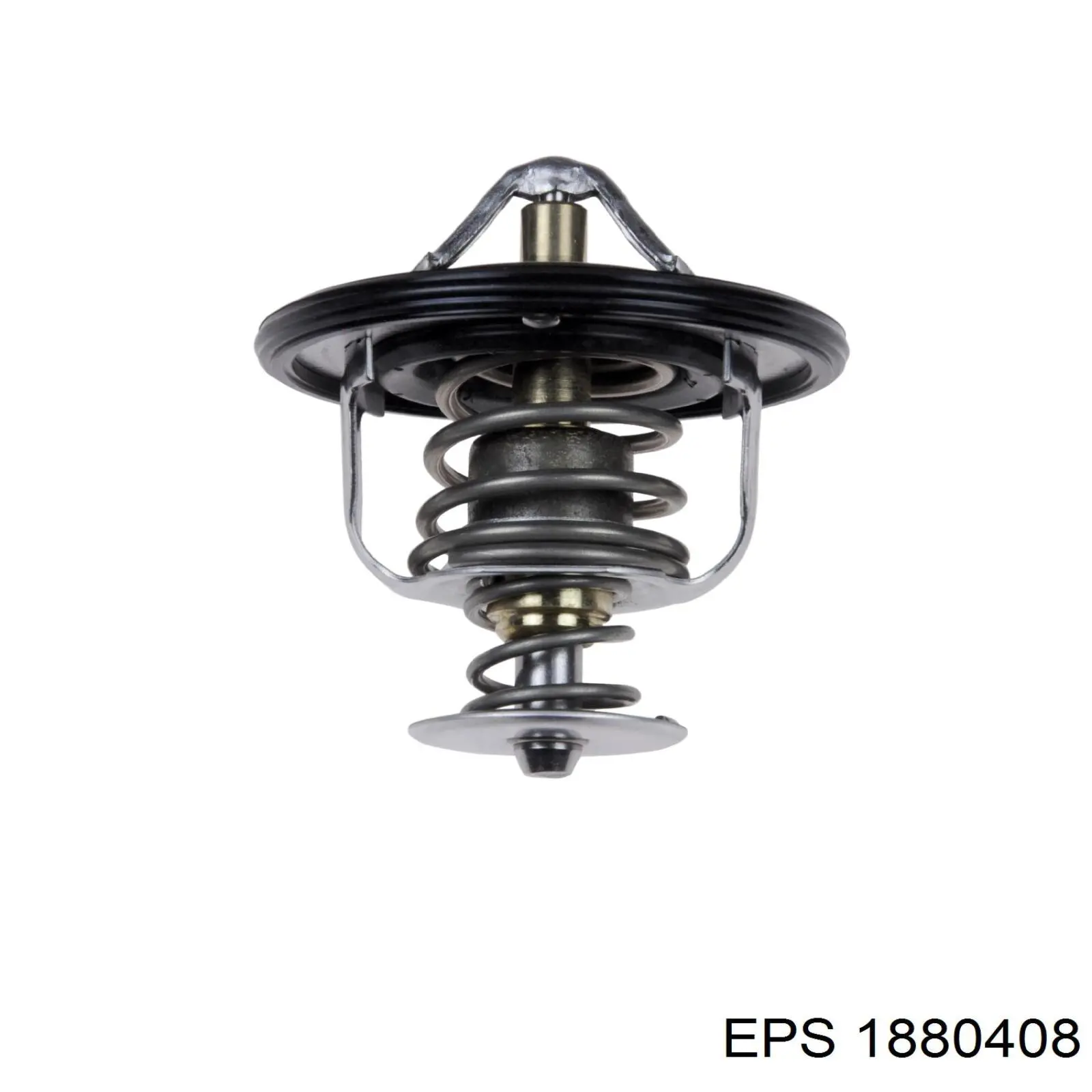 WV56MC88 Tama Termostato de agua