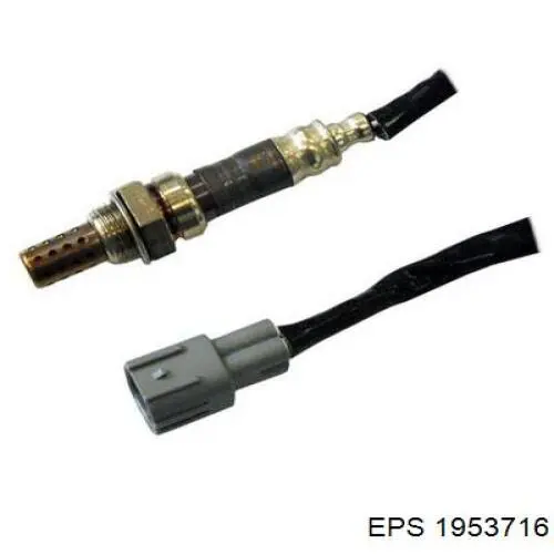 Sensor de cigüeñal 1931197401 Toyota