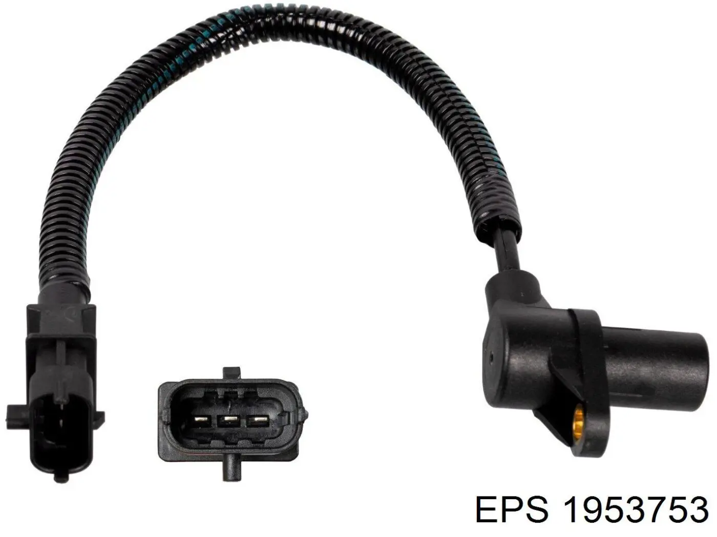 1953753 EPS sensor de cigüeñal
