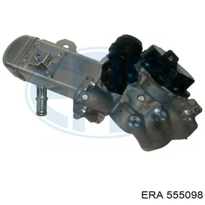 555098 ERA egr