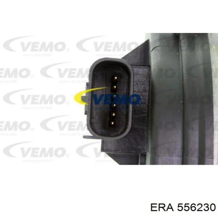 Cuerpo de mariposa 556230 ERA