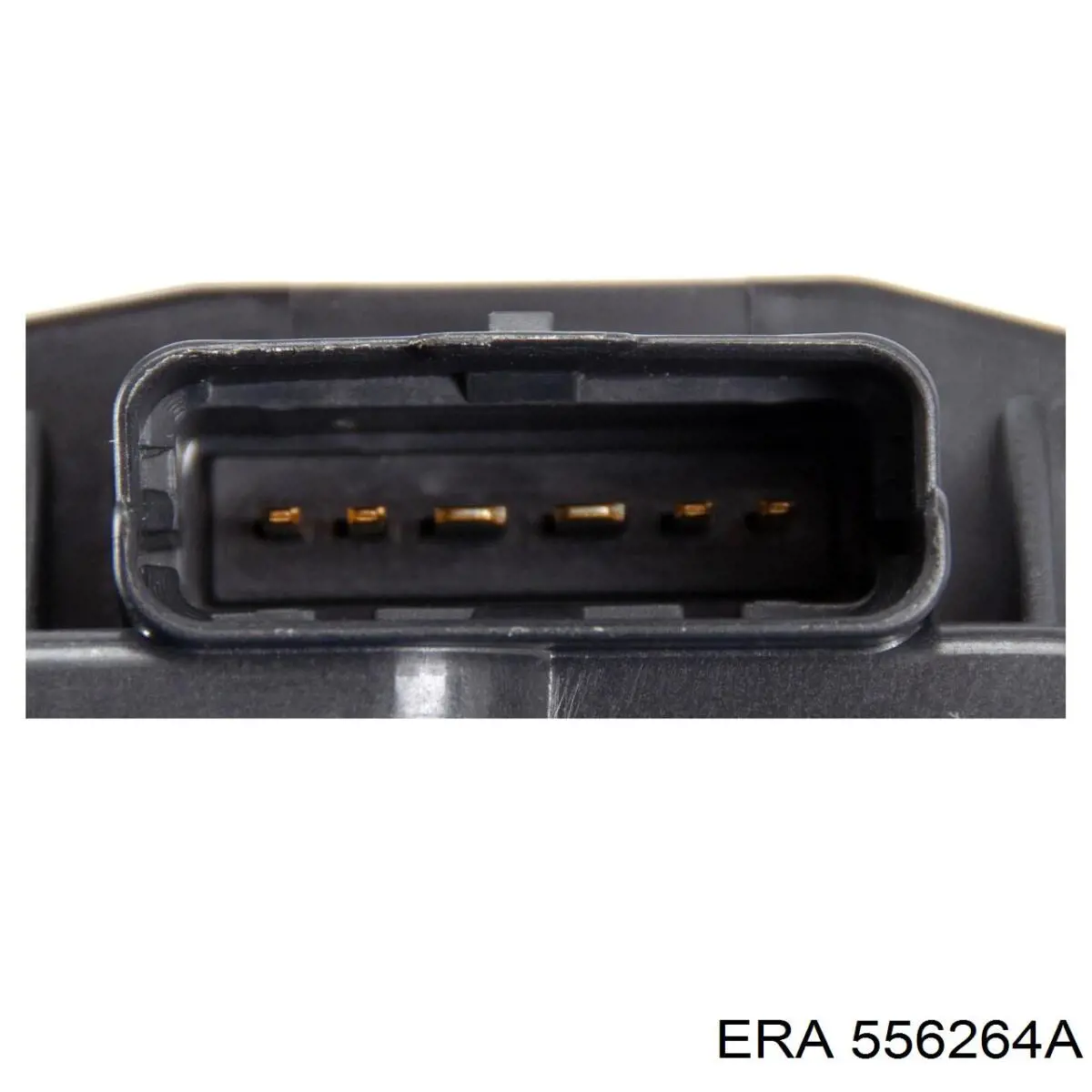Comprar 556264A ERA Cuerpo de mariposa