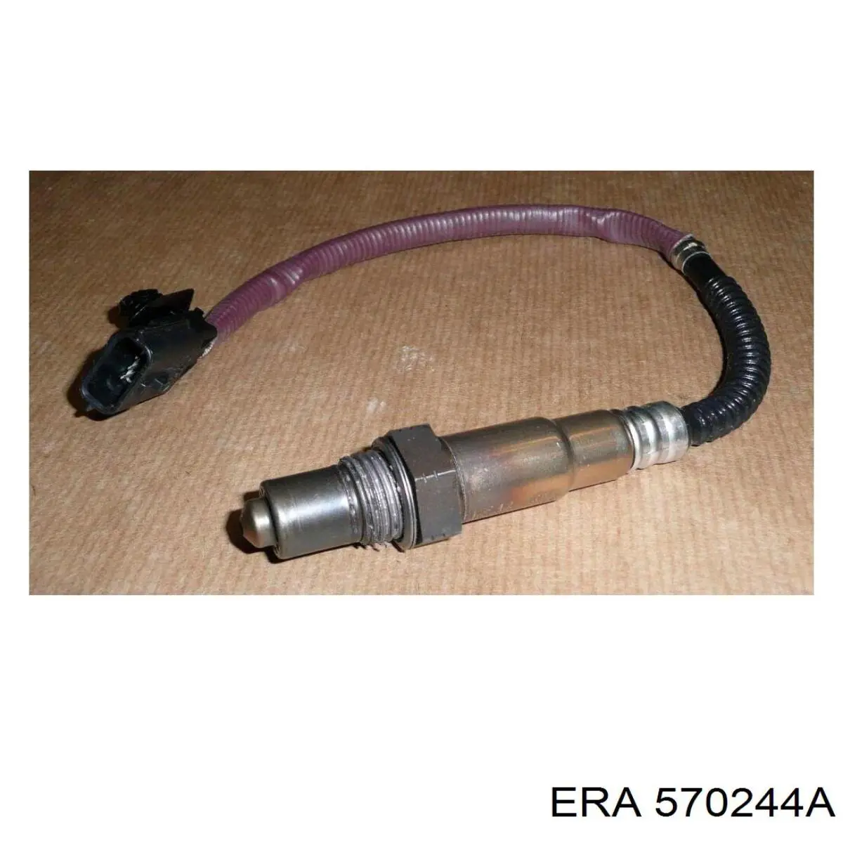 570244A ERA sonda lambda sensor de oxigeno para catalizador