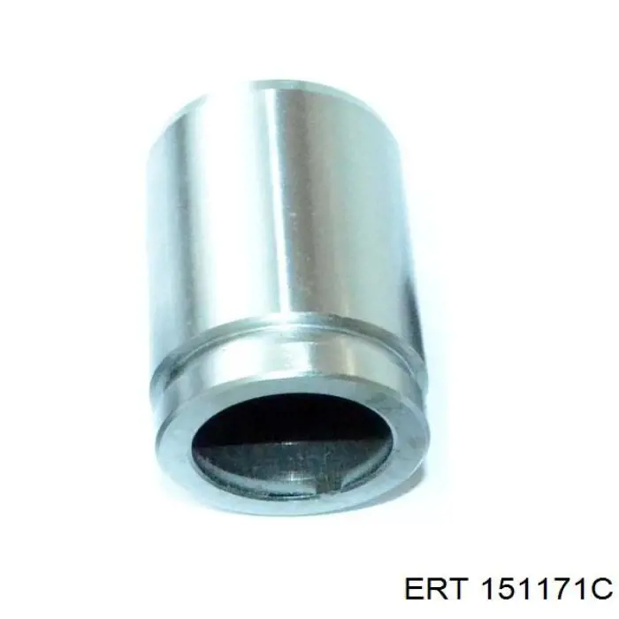 Émbolo de la pinza de freno trasera ERT 151171C precio, desde 12,12 EUR