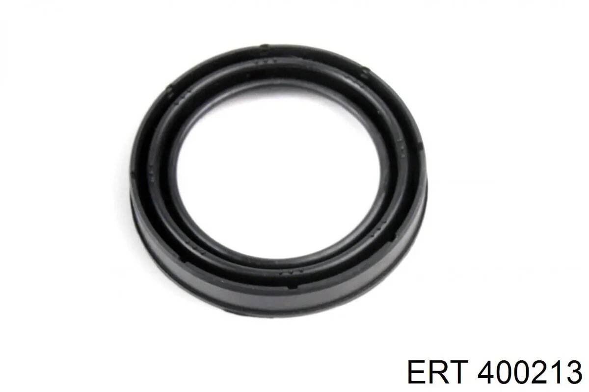 400213 ERT