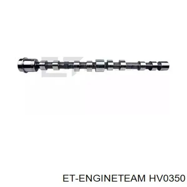 Comprar 504246091 Iveco Árbol de levas de escape