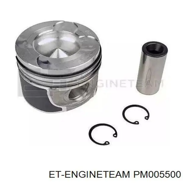 Pistón con bulón sin anillos, STD Nissan/Infiniti A2010EC00B precio, desde 121,97 EUR