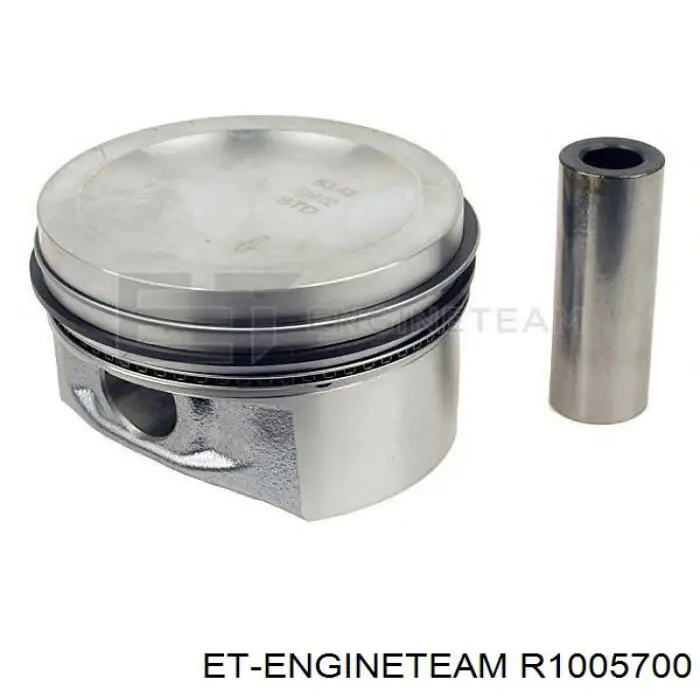 795085004 SM Juego de anillos de pistón para 1 cilindro, STD