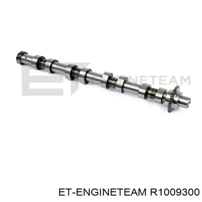 R1009300 ET Engineteam juego de aros de pistón para 1 cilindro, std