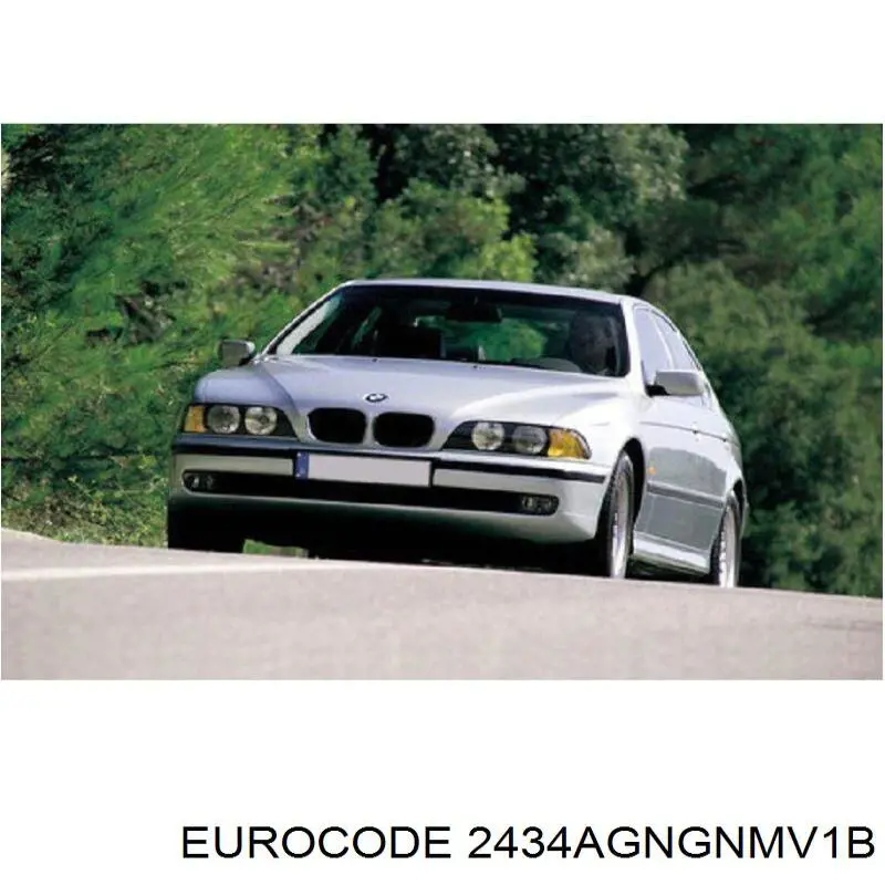 51318259316 BMW Parabrisas delantero 
