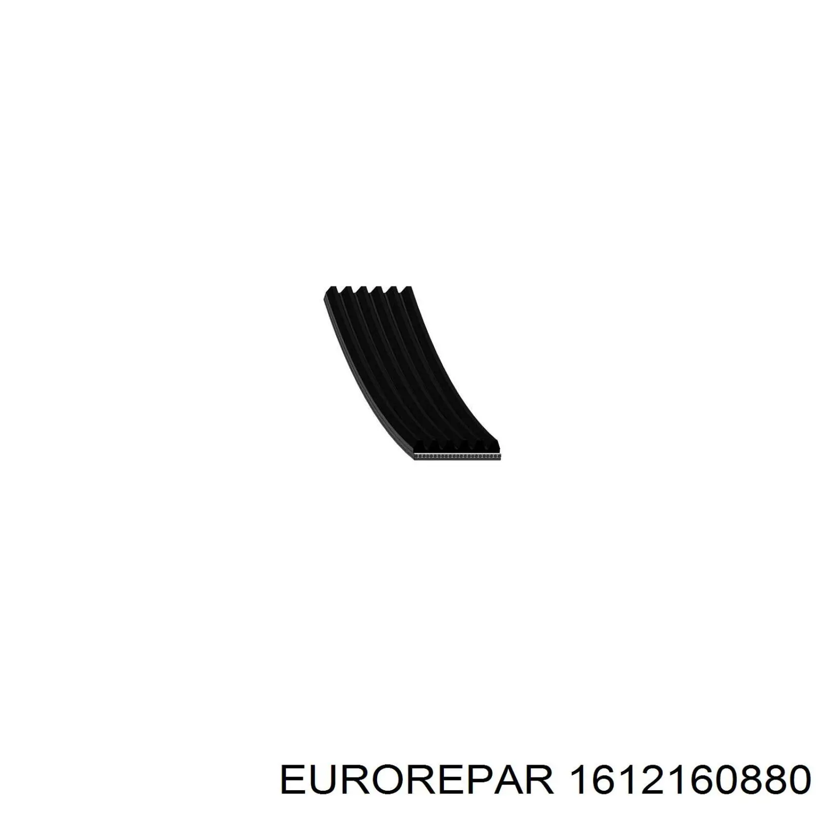 1612160880 Eurorepar correa trapezoidal