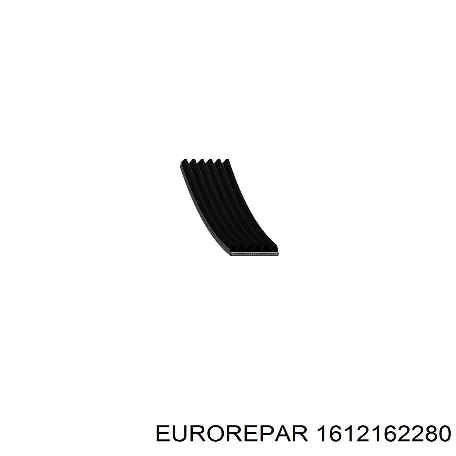 1612162280 Eurorepar correa trapezoidal