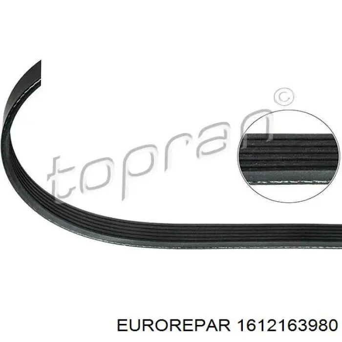 1612163980 Eurorepar correa trapezoidal