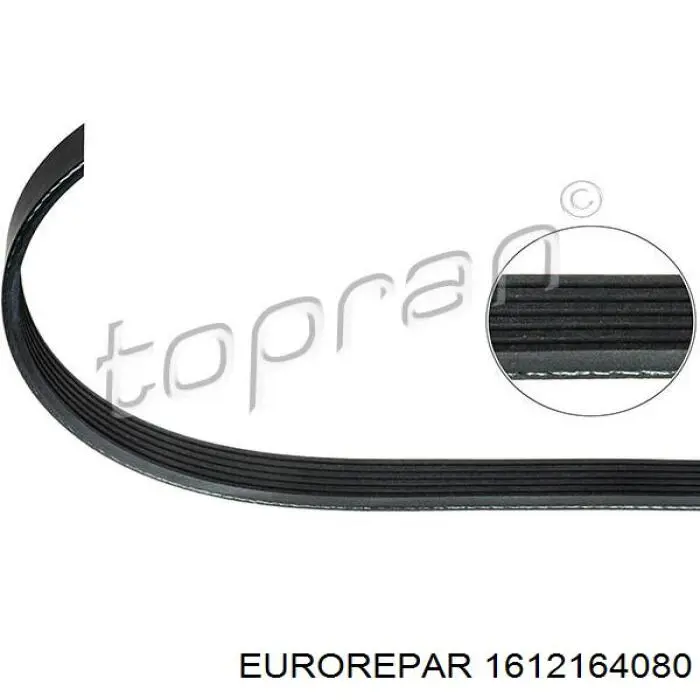 1612164080 Eurorepar correa trapezoidal