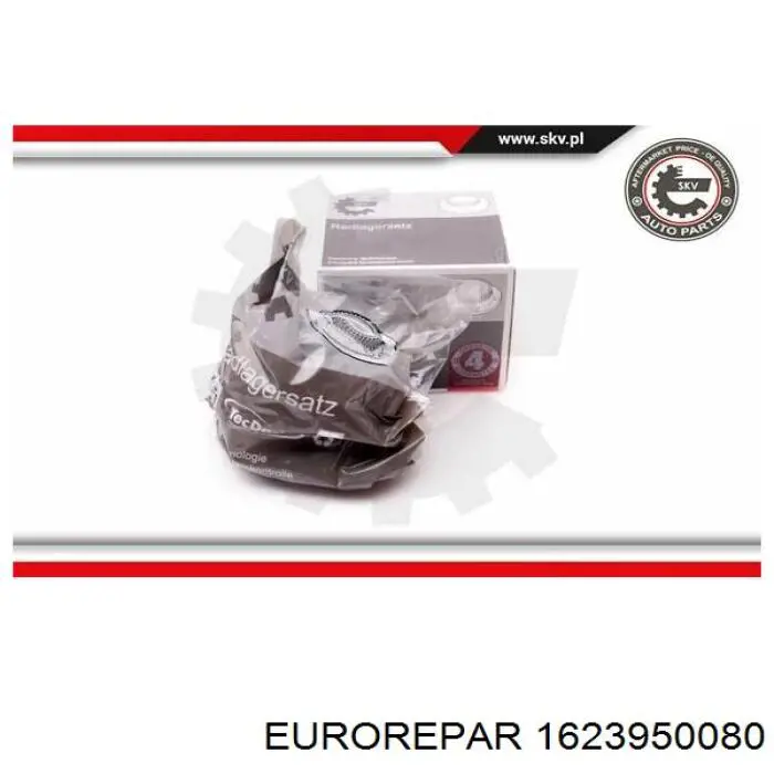 1623950080 Eurorepar cubo de rueda trasero