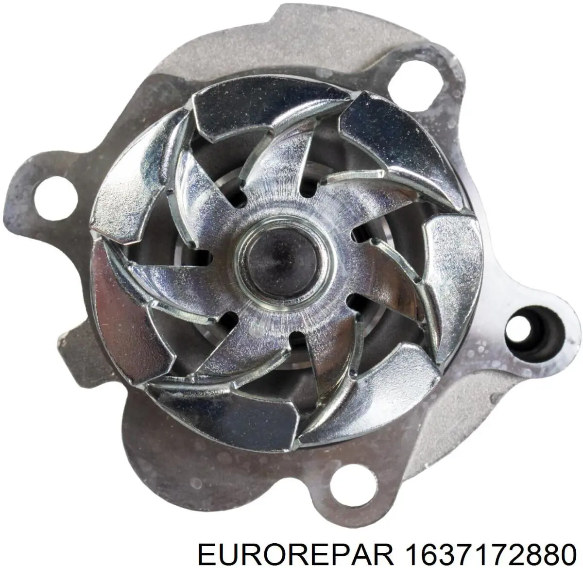 Bombeadora de agua Eurorepar 1637172880 precio, desde 56,59 EUR