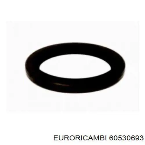 60530693 Euroricambi