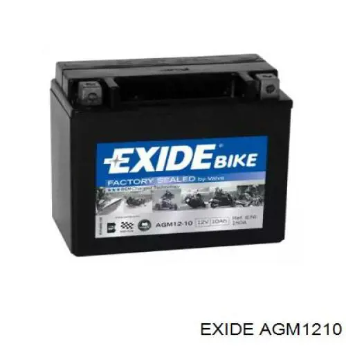 Comprar AGM1210 Exide Batería de coche