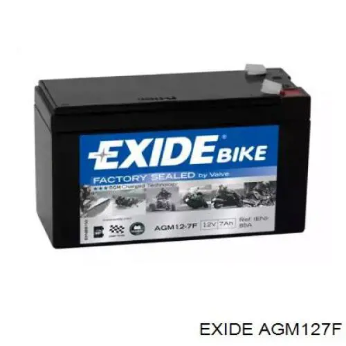 Comprar AGM127F Exide Batería de coche