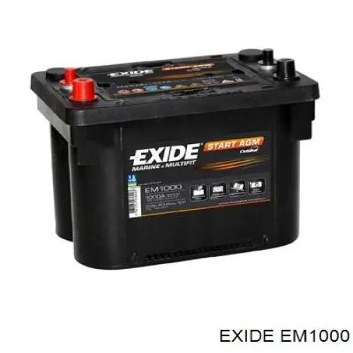 Batería de Arranque Exide Maxxima 50 ah 12 v B00|B07 (EM1000)