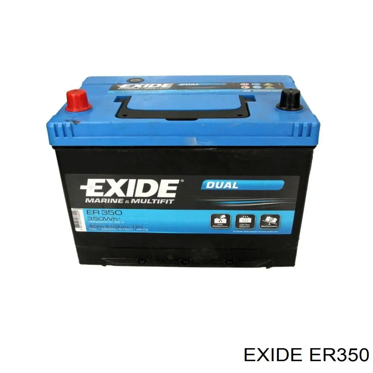 Batería de Arranque Exide (ER350)